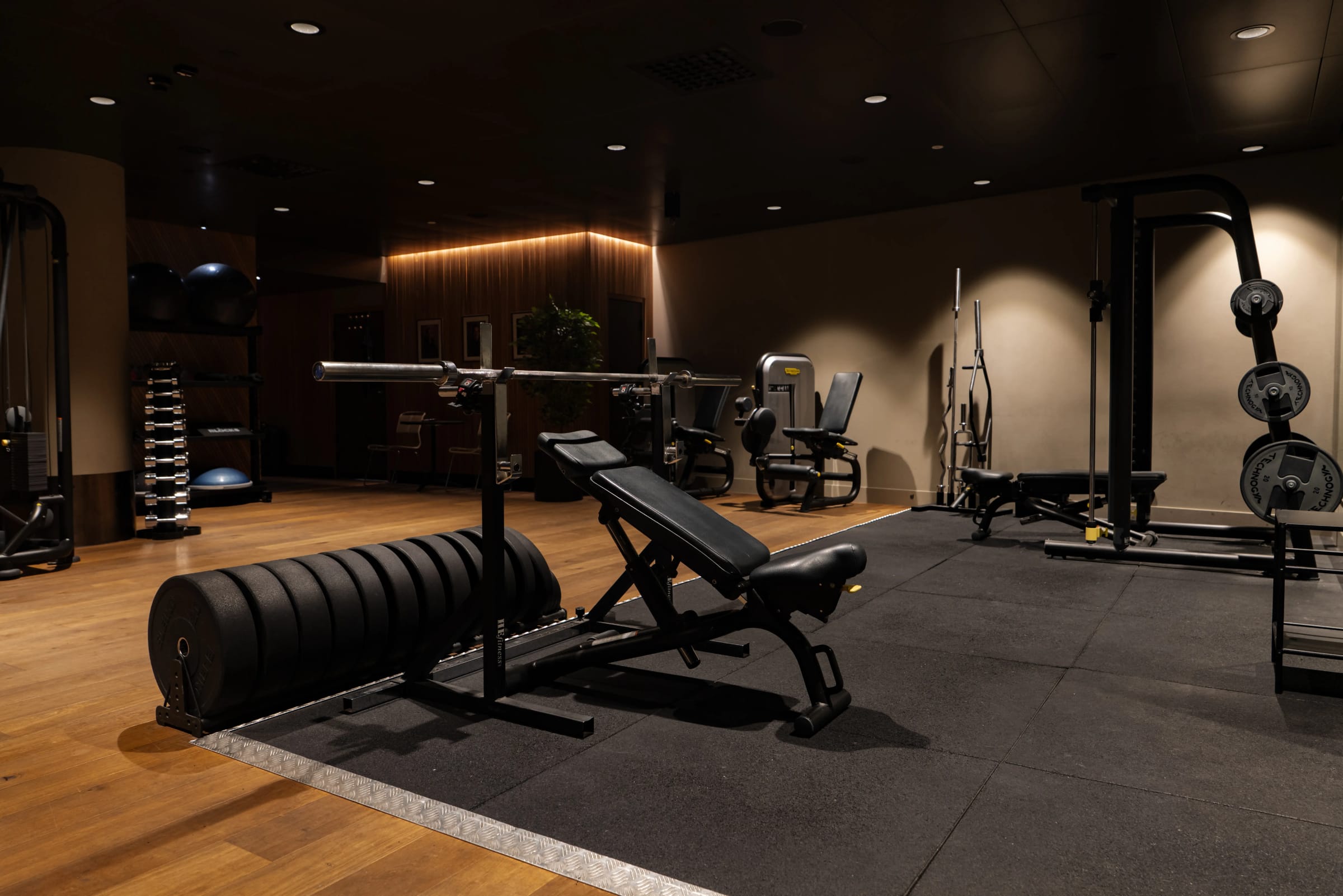 Strength training area with dumbbells and resistance equipment