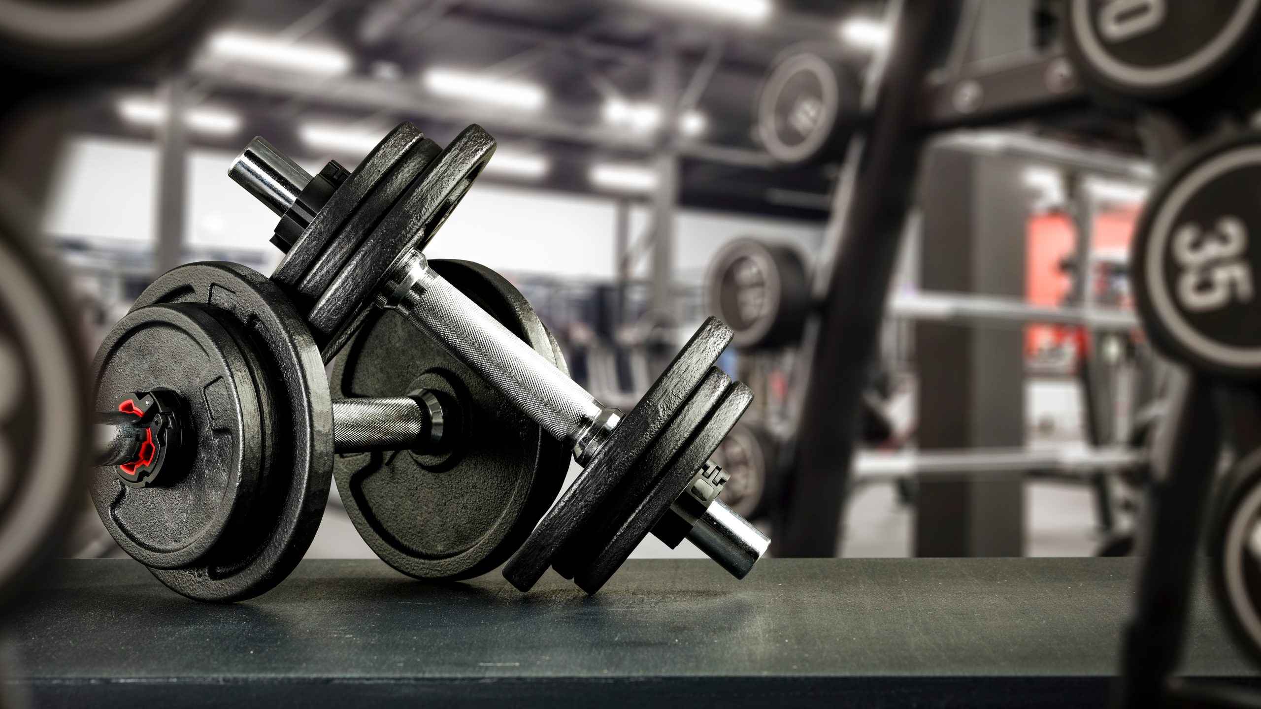 Personal fitness planning with workout notes and training goals