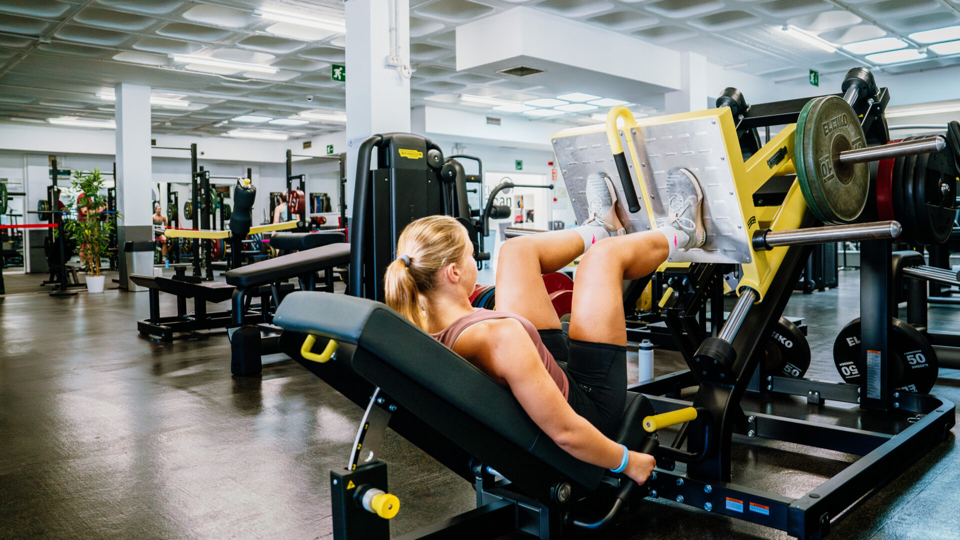 Cardio training equipment arranged in a modern fitness facility